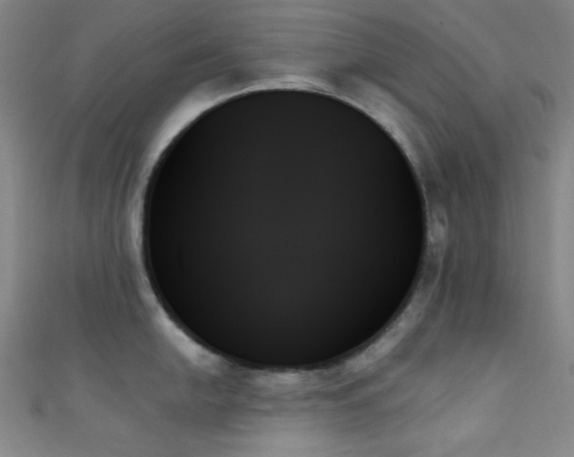 X0000111481054200907141214