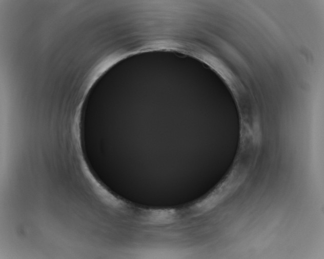 X0000111481055200907141214