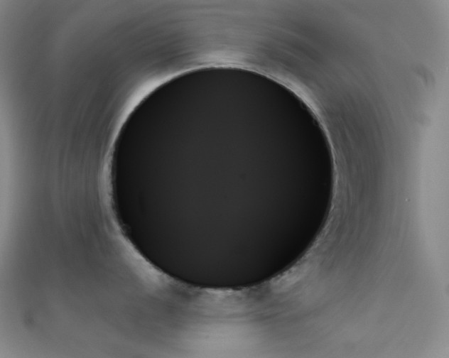 X0000111481056200907141214