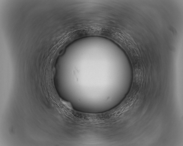 X0000111481057200907141213