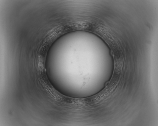 X0000111481058200907141213