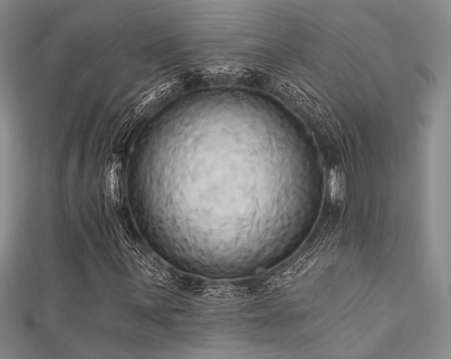 X0000111481059200907141213