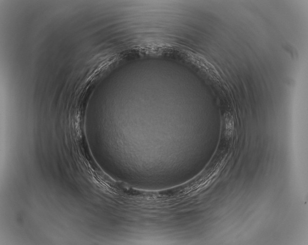X0000111481060200907141213