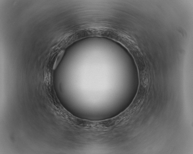 X0000111481061200907141213