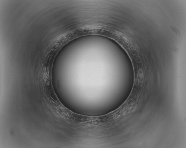 X0000111481062200907141213