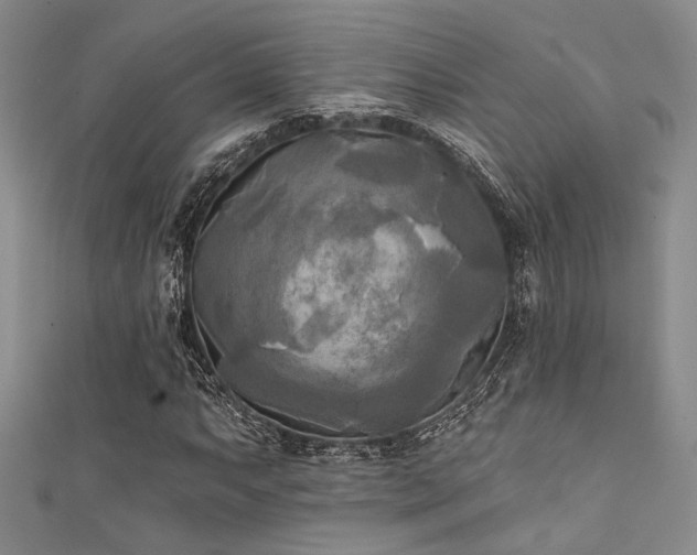 X0000111481063200907141213