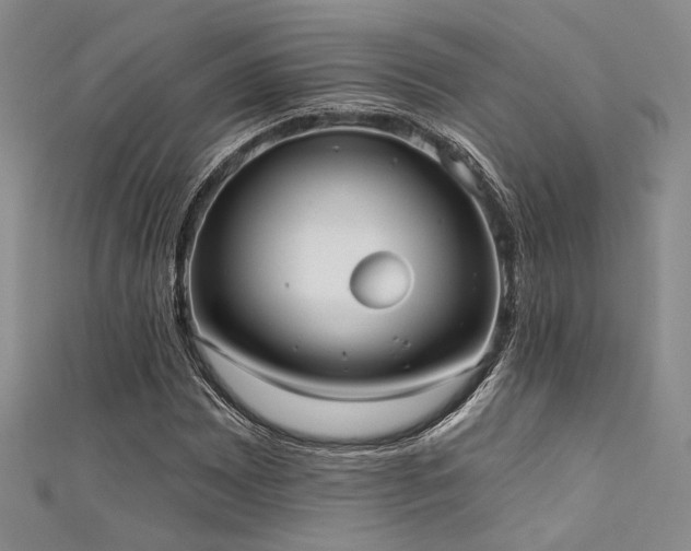 X0000111481065200907141213