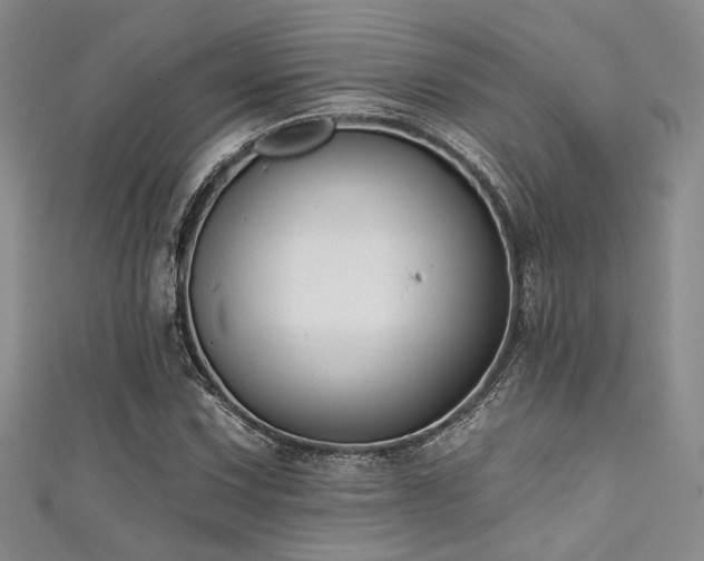 X0000111481067200907141212