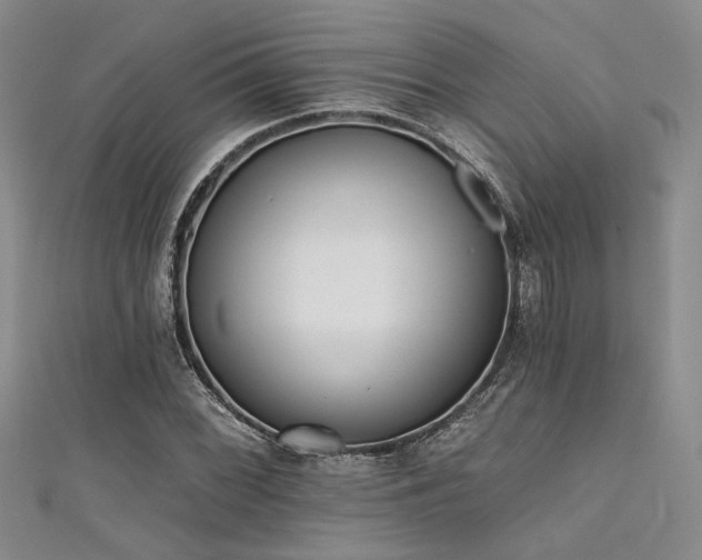 X0000111481068200907141212