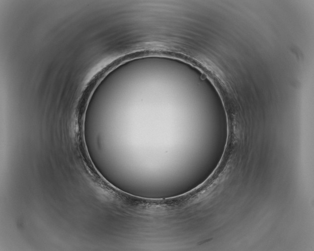 X0000111481070200907141212