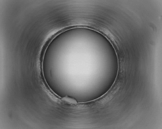 X0000111481072200907141212