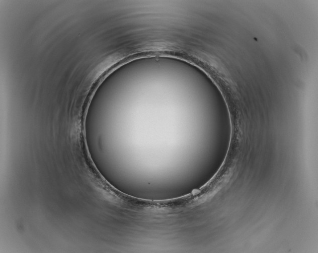 X0000111481073200907141212