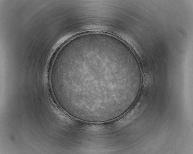 X0000111481074200907141212