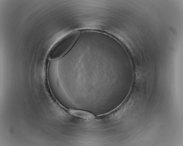 X0000111481077200907141212
