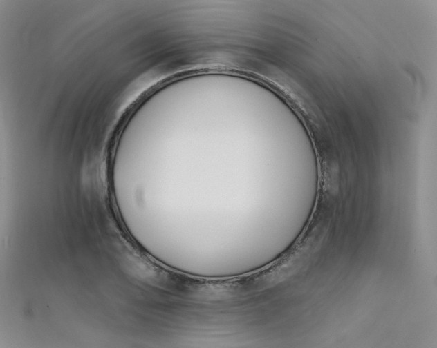 X0000111481078200907141212