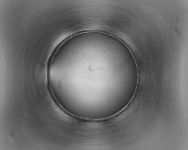 X0000111481079200907141212