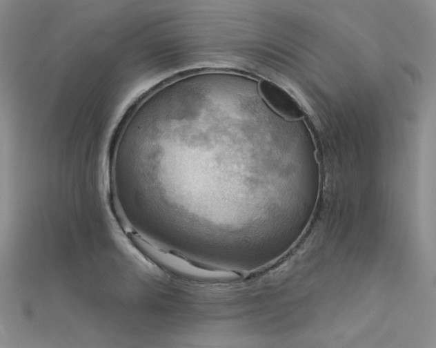 X0000111481080200907141212