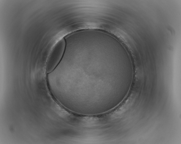 X0000111481081200907141212