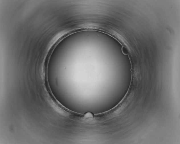 X0000111481082200907141212