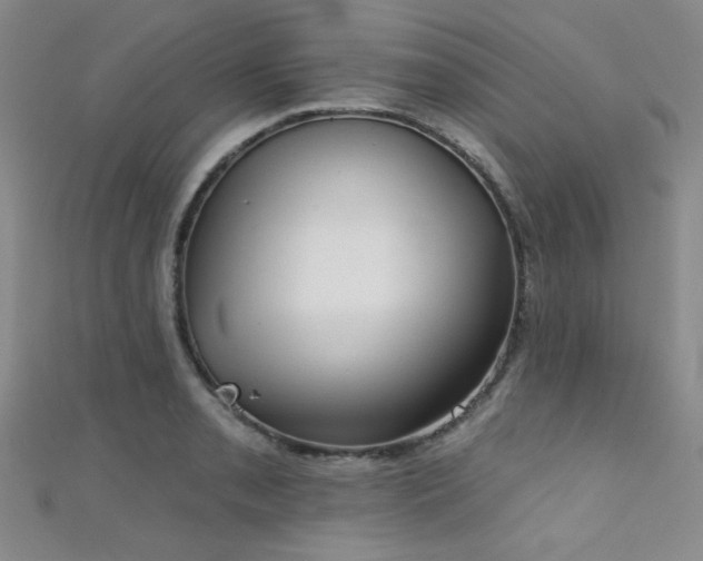 X0000111481085200907141212