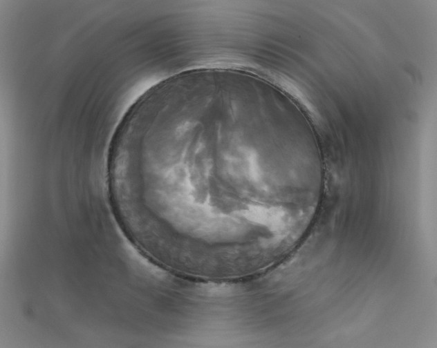 X0000111481087200907141212
