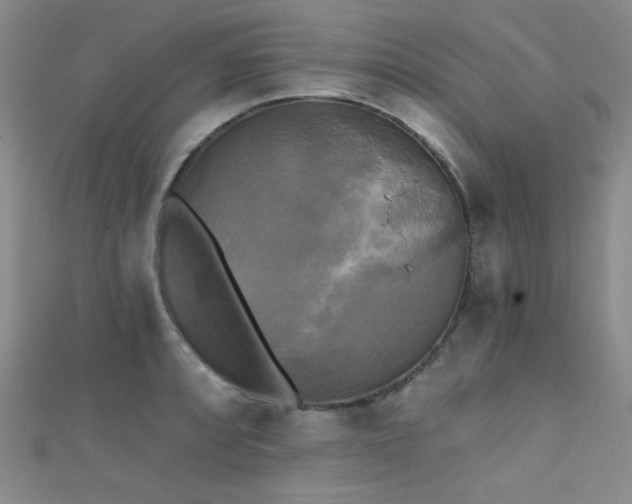 X0000111481088200907141212