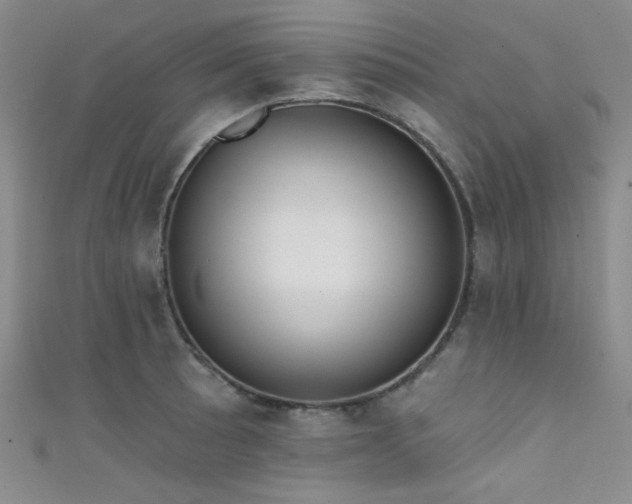 X0000111481089200907141212