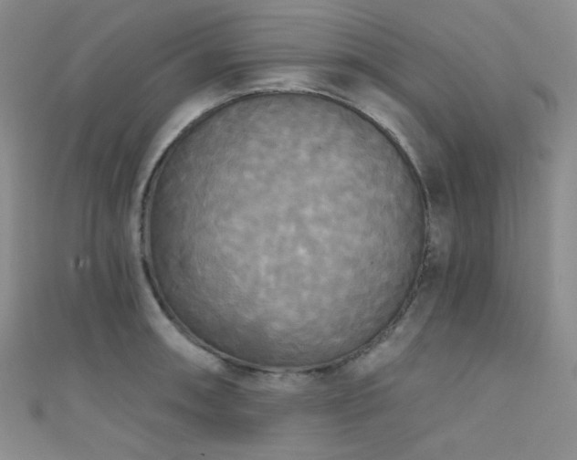 X0000111481090200907141212