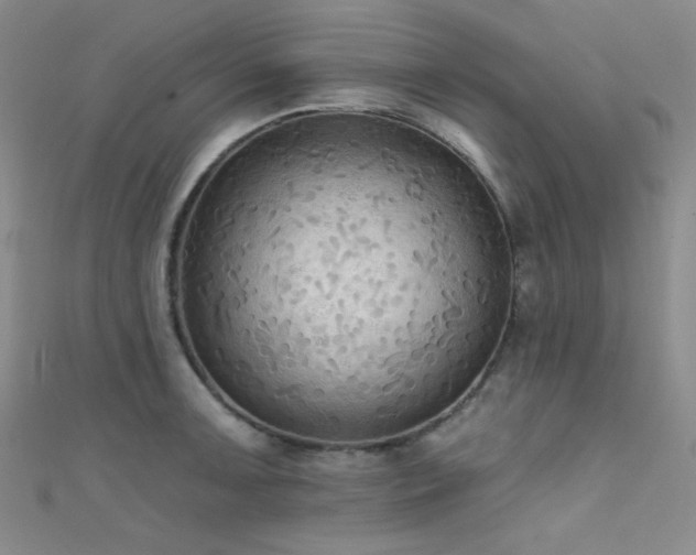 X0000111481091200907141212