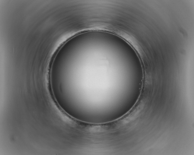 X0000111481093200907141212