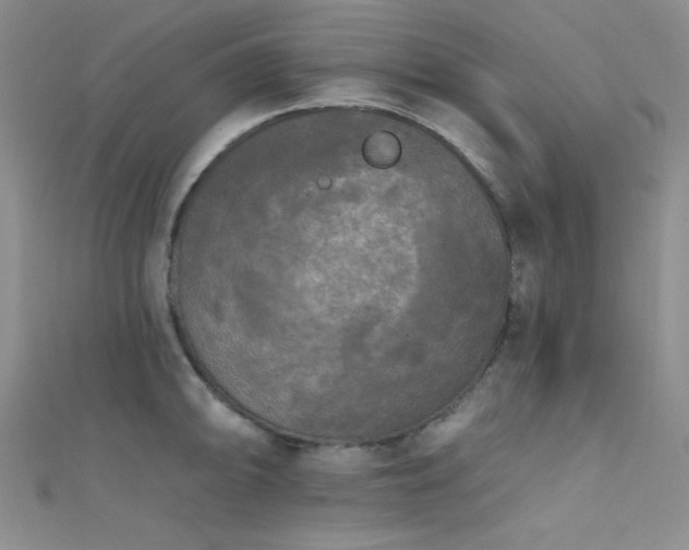 X0000111481094200907141212