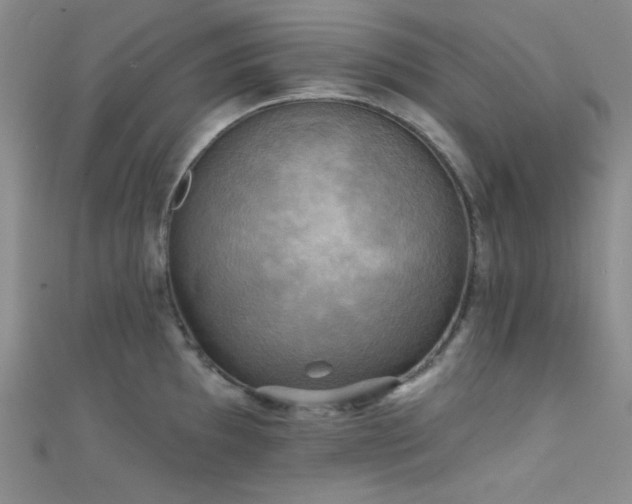 X0000111481097200907141212