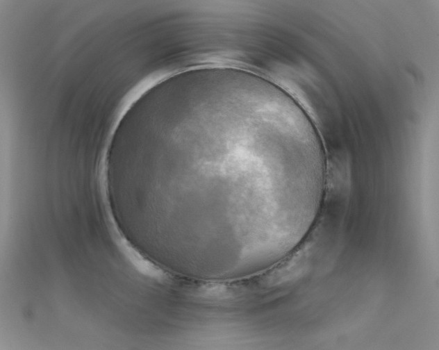 X0000111481098200907141212