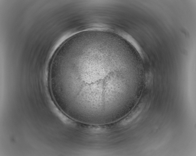 X0000111481099200907141212