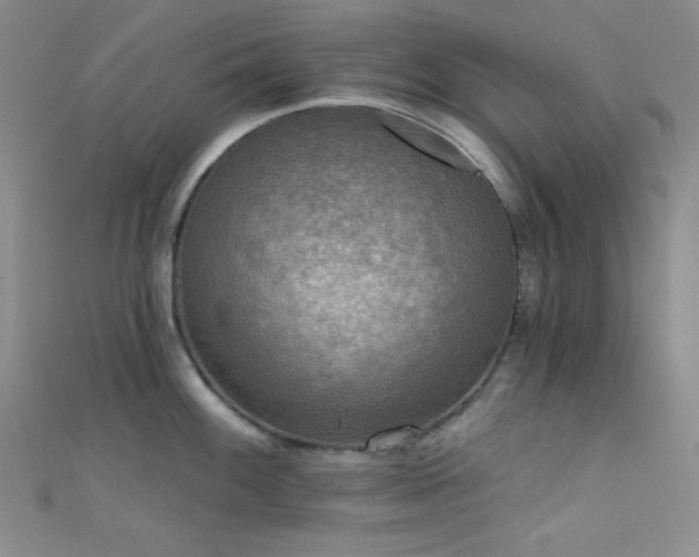 X0000111481100200907141212