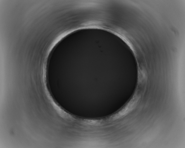 X0000111481101200907141212