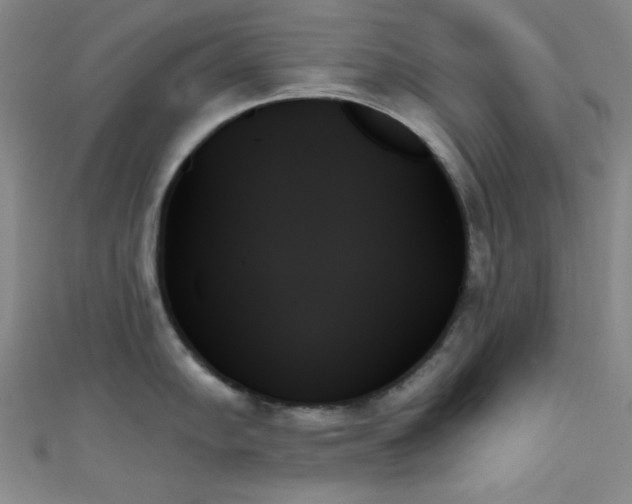 X0000111481102200907141212