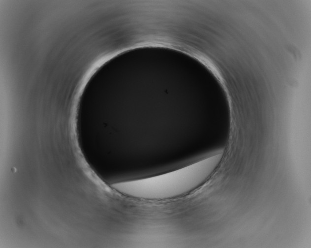 X0000111481104200907141212