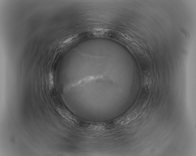 X0000111481106200907141211