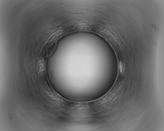 X0000111481107200907141211
