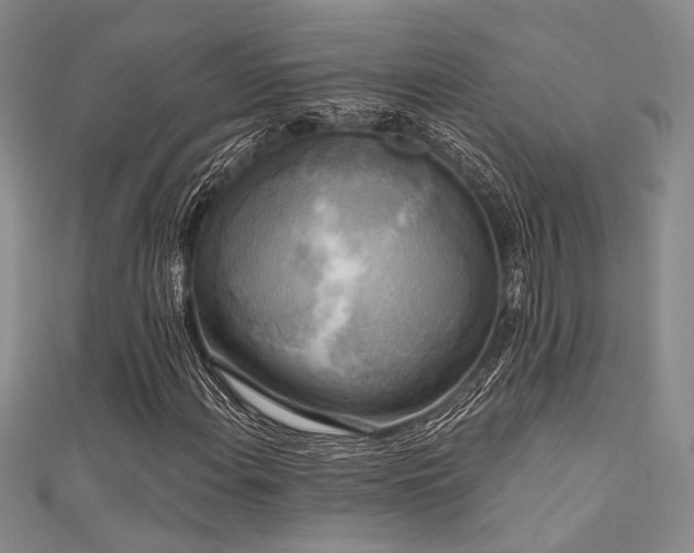 X0000111481108200907141211