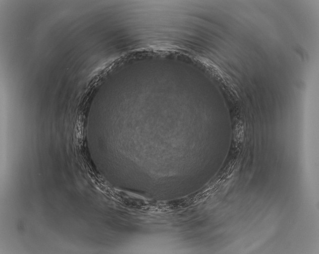 X0000111481110200907141211