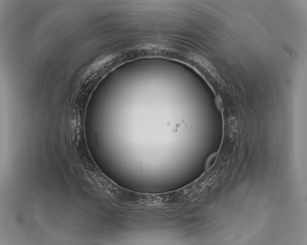 X0000111481111200907141211