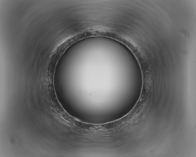 X0000111481112200907141211