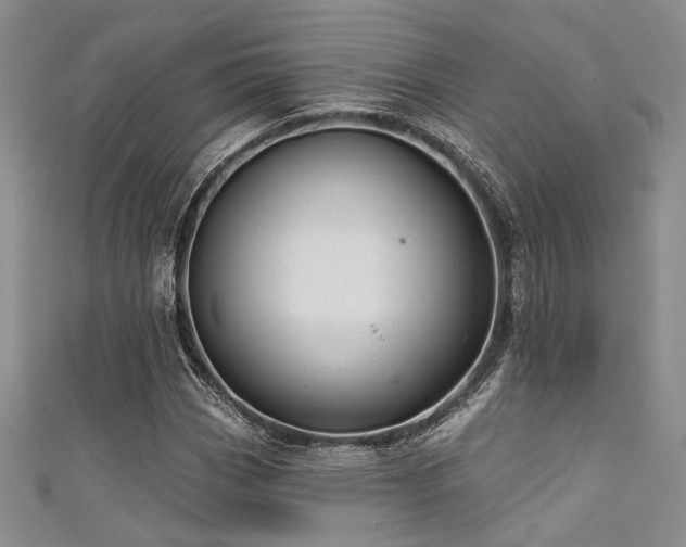 X0000111481113200907141211