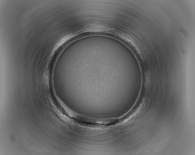 X0000111481114200907141211