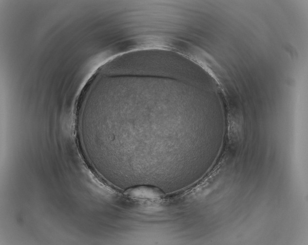 X0000111481116200907141211