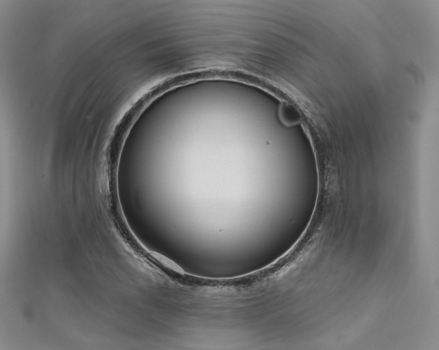 X0000111481118200907141211