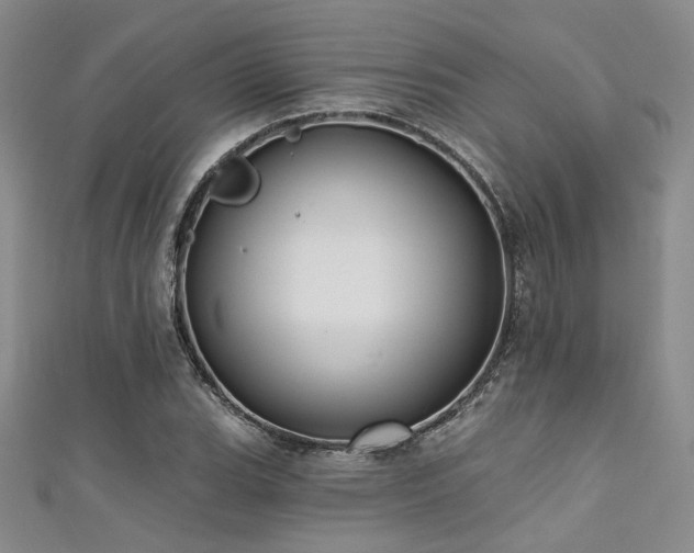 X0000111481119200907141211