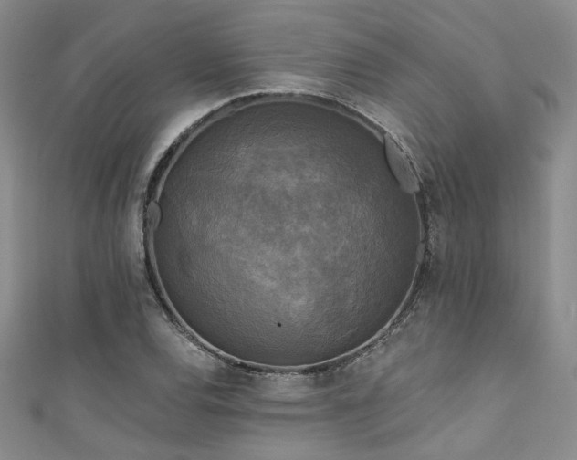 X0000111481120200907141211